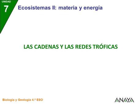LAS CADENAS Y LAS REDES TRÓFICAS Ecosistemas II: materia y energía UNIDAD 7 Biología y Geología 4.º ESO.
