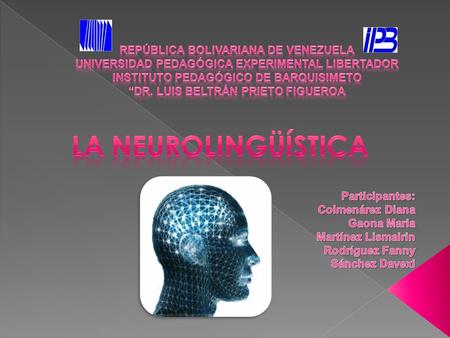 Controla el estado del cuerpo Nivel energético Tono general Conciencia Y Reacción AnálisisAlmacenamiento Codificación Objetivos Programas de conducta.