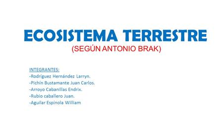 ECOSISTEMA TERRESTRE (SEGÚN ANTONIO BRAK) INTEGRANTES: -Rodríguez Hernández Larryn. -Pichín Bustamante Juan Carlos. -Arroyo Cabanillas Endrix. -Rubio caballero.