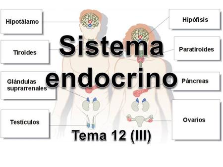 Sistemas de regulación y coordinación Animales Sistema Nervioso Impulsos nerviosos Sistema hormonal Hormonas Vegetales Sistema hormonal.