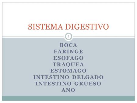 BOCA FARINGE ESOFAGO TRAQUEA ESTOMAGO INTESTINO DELGADO INTESTINO GRUESO ANO 1 SISTEMA DIGESTIVO.