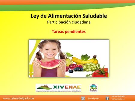 Jaime.Delgado Consumidores Ley de Alimentación Saludable Participación ciudadana Tareas pendientes.