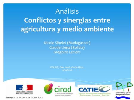 Análisis Conflictos y sinergias entre agricultura y medio ambiente Nicole Sibelet (Madagascar) Claude Llena (Bolivia) Grégoire Leclerc COLCA, San José,