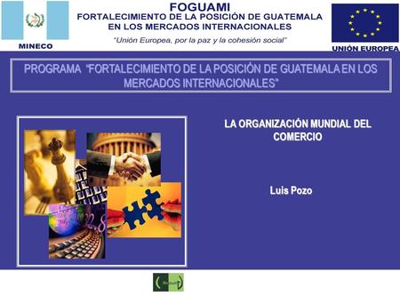 PROGRAMA “FORTALECIMIENTO DE LA POSICIÓN DE GUATEMALA EN LOS MERCADOS INTERNACIONALES” Luis Pozo LA ORGANIZACIÓN MUNDIAL DEL COMERCIO.