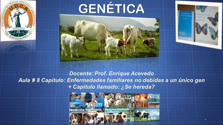 GENÉTICA Docente: Prof. Enrique Acevedo Aula # 8 Capìtulo: Enfermedades familiares no debidas a un único gen + Capítulo llamado: ¿Se hereda? 1.