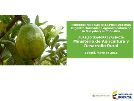 DIRECCION DE CADENAS PRODUCTIVAS Organización Cadena Agroalimentaria de la Guayaba y su Industria AURELIO IRAGORRI VALENCIA Ministério de Agricultura y.