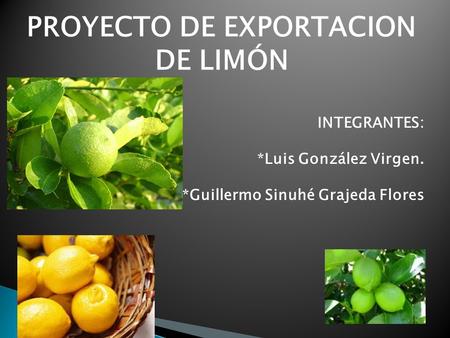 PROYECTO DE EXPORTACION DE LIMÓN INTEGRANTES: *Luis González Virgen. *Guillermo Sinuhé Grajeda Flores.