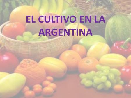 EL CULTIVO EN LA ARGENTINA. Rio Negro El objetivo es poner a la fruticultura de la región, a la pera y la manzana, otra vez en la situación de fortaleza.
