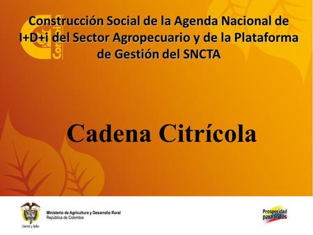 Cadena Citrícola Construcción Social de la Agenda Nacional de I+D+i del Sector Agropecuario y de la Plataforma de Gestión del SNCTA.