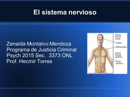 El sistema nervioso Zenaida Montalvo Mendoza Programa de Justicia Criminal Psych 2015 Sec ONL Prof. Hecmir Torres.