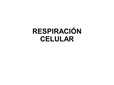 RESPIRACIÓN CELULAR. INTRODUCCIÓN Respiración celular es la obtención de energía a partir de glucosa y oxígeno  LA ENERGÍA LIBERADA ES RETENIDA EN FORMA.