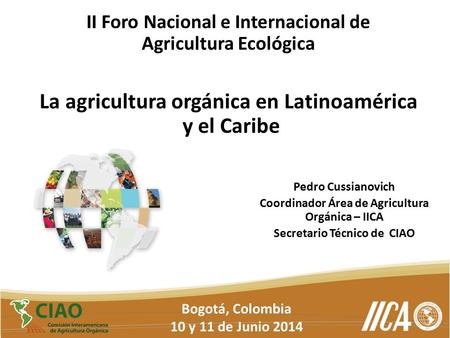 II Foro Nacional e Internacional de Agricultura Ecológica La agricultura orgánica en Latinoamérica y el Caribe Pedro Cussianovich Coordinador Área de Agricultura.