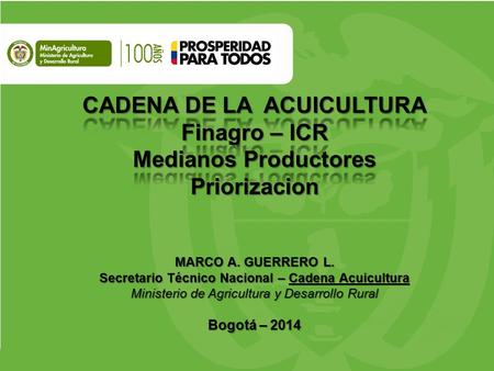 Fuente: Cadena de Acuicultura - MADR La Acuicultura ha tenido un desarrollo importante ya que los grandes productores están realizando alianzas.
