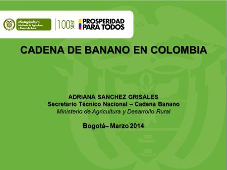 CADENA DE BANANO EN COLOMBIA ADRIANA SANCHEZ GRISALES Secretario Técnico Nacional – Cadena Banano Ministerio de Agricultura y Desarrollo Rural Bogotá–