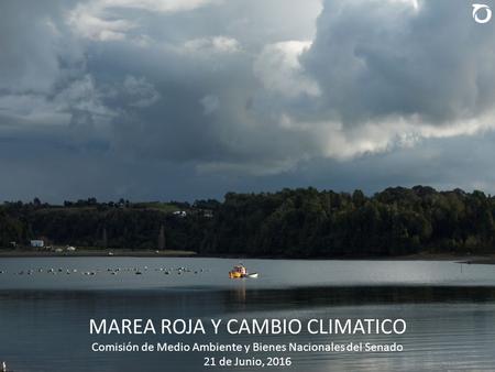 MAREA ROJA Y CAMBIO CLIMATICO Comisión de Medio Ambiente y Bienes Nacionales del Senado 21 de Junio, 2016.