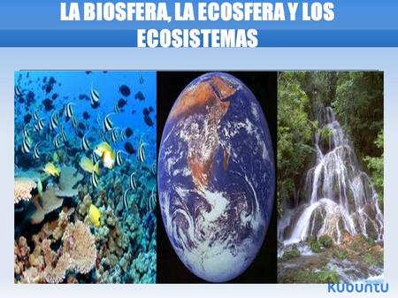 LA BIOSFERA, LA ECOSFERA Y LOS ECOSISTEMAS. ÍNDICE 1.Definiciones de: -la biosfera -la ecosfera -los ecosistemas 2.Los Componentes del Ecosistema 2.1.Biocenosis.