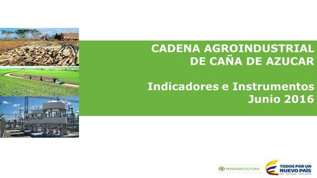 CADENA AGROINDUSTRIAL DE CAÑA DE AZUCAR Indicadores e Instrumentos Junio 2016.