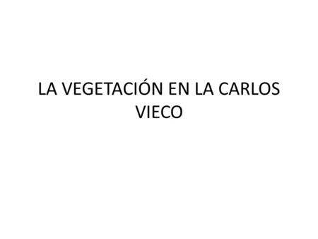 LA VEGETACIÓN EN LA CARLOS VIECO. ¿Por qué hay vegetación en la Carlos Vieco y para qué sirve? Está para la ornamentación y nos sirve para adaptarnos.