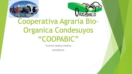 Cooperativa Agraria Bio- Organica Condesuyos “COOPABIC” Vicente Medina Medina presidente.