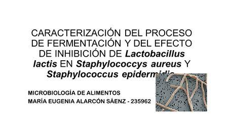 CARACTERIZACIÓN DEL PROCESO DE FERMENTACIÓN Y DEL EFECTO DE INHIBICIÓN DE Lactobacillus lactis EN Staphylococcys aureus Y Staphylococcus epidermidis. MICROBIOLOGÍA.