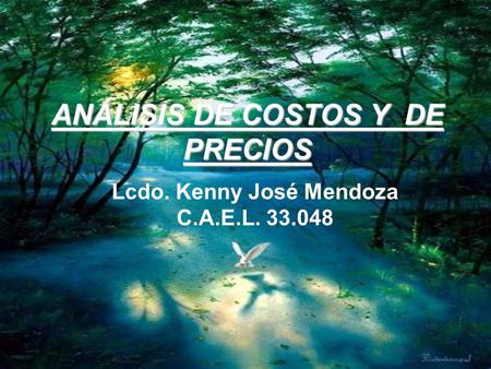1 ANÁLISIS DE COSTOS Y DE PRECIOS Lcdo. Kenny José Mendoza C.A.E.L