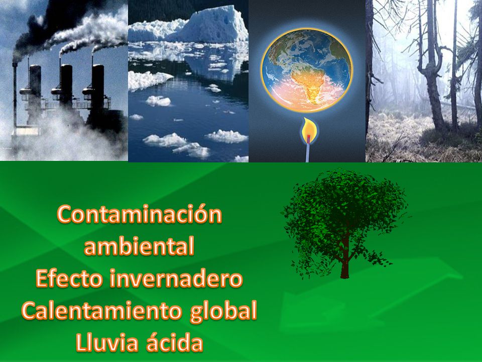 Contaminación ambiental - ppt descargar
