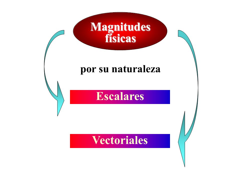 Magnitudes físicas Escalares Vectoriales - ppt descargar