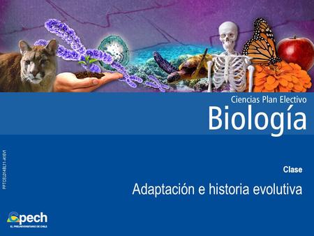 PPTCEL014BL11-A16V1 Clase Adaptación e historia evolutiva.