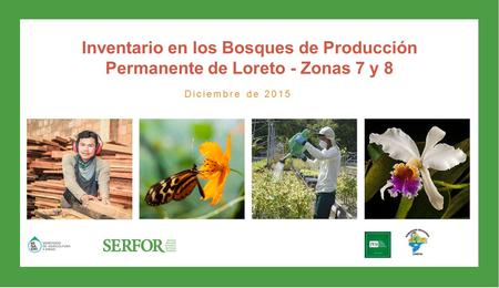 Inventario en los Bosques de Producción Permanente de Loreto - Zonas 7 y 8 Diciembre de 2015.