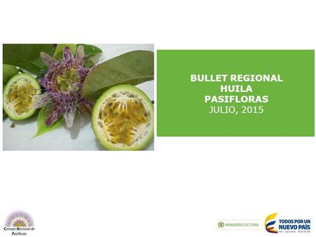 BULLET REGIONAL HUILA PASIFLORAS JULIO, PASIFLORAS Principales departamentos de producción Fuente de la información: AGRONET – EVA, 2013 Nota: El.