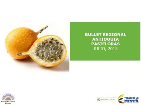 BULLET REGIONAL ANTIOQUIA PASIFLORAS JULIO, 2015.