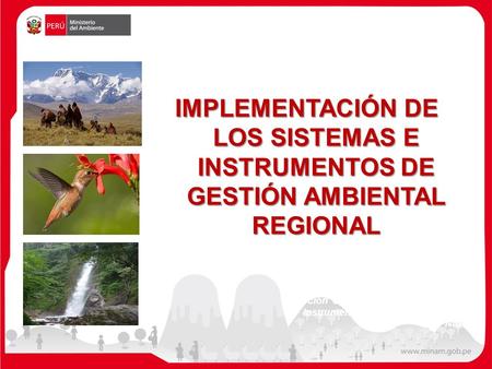 IMPLEMENTACIÓN DE LOS SISTEMAS E INSTRUMENTOS DE GESTIÓN AMBIENTAL REGIONAL Dirección General de Políticas Normas e Instrumentos de Gestión Ambiental -