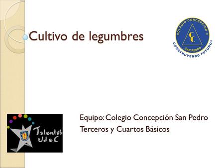Cultivo de legumbres Equipo: Colegio Concepción San Pedro Terceros y Cuartos Básicos.