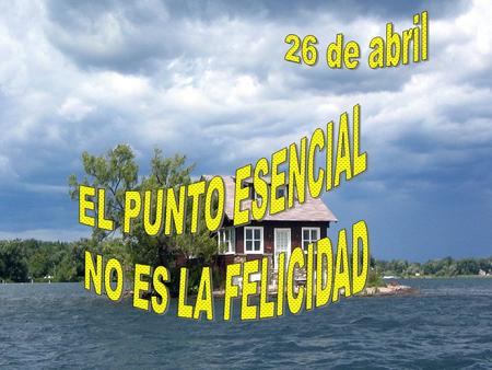 No creo que la cuestión está en la felicidad o en la infelicidad. ¿Cómo abordamos los problemas que se nos presentan? ¿Cómo aprendemos mejor de estos.