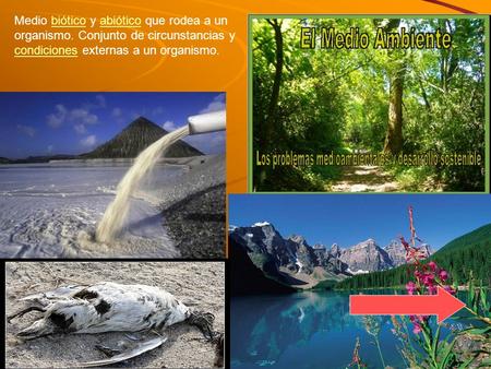 Medio biótico y abiótico que rodea a un organismo. Conjunto de circunstancias y condiciones externas a un organismo.bióticoabiótico condiciones.