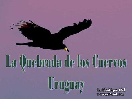 La Quebrada de los Cuervos se encuentra en el Departamento de Treinta y Tres-Uruguay Abarca una superficie mayor a has, donde se alternan zonas.