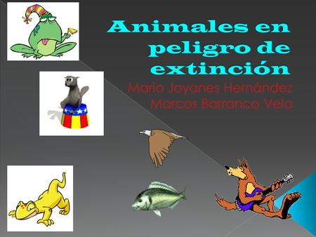  Lagarto Gigante de las Canarias (Gallotia stehlini)  Atún rojo (Thunnus thynnus)  Águila Imperial Ibérica (Aquila adalberti)  Lobo Ibérico (Canis.