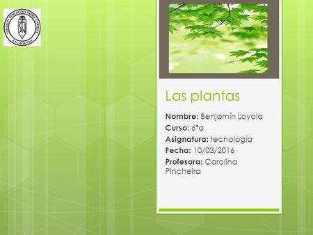 Las plantas Nombre: Benjamín Loyola Curso: 6ºa Asignatura: tecnología Fecha: 10/03/2016 Profesora: Carolina Pincheira.