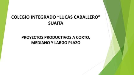 COLEGIO INTEGRADO “LUCAS CABALLERO” SUAITA PROYECTOS PRODUCTIVOS A CORTO, MEDIANO Y LARGO PLAZO.