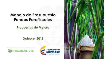 Manejo de Presupuesto Fondos Parafiscales Propuestas de Mejora Octubre 2015.