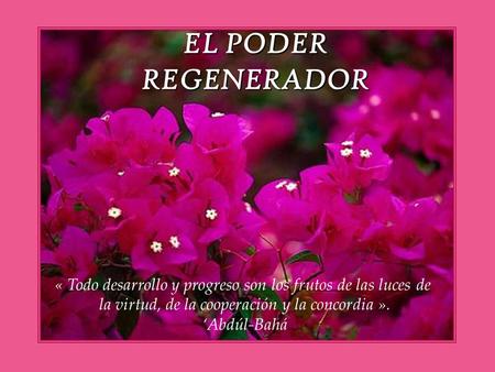 EL PODER REGENERADOR « Todo desarrollo y progreso son los frutos de las luces de la virtud, de la cooperación y la concordia ». ‘Abdúl-Bahá.