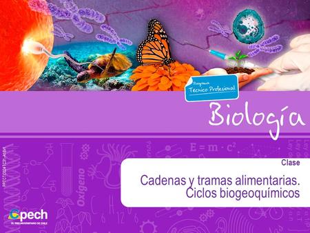 Clase Cadenas y tramas alimentarias. Ciclos biogeoquímicos PPTCTC024TC31-A16V1.