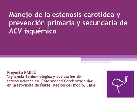 Manejo de la estenosis carotidea y prevención primaria y secundaria de ACV isquémico Proyecto ÑANDÚ Vigilancia Epidemiológica y evaluación de intervenciones.