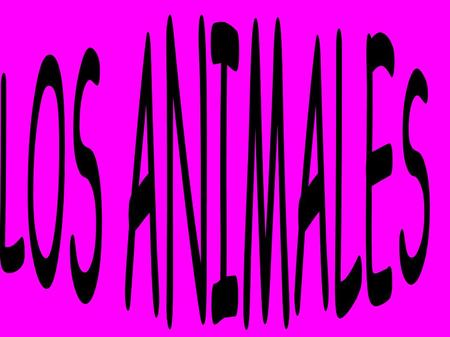 LOS CARNIVOROSHERVIVOROS OMNIVOROS Los animales son seres vivos y hay diferentes tipos como: LOS CARNIVOROS (los que comen carne) HERVIVOROS (los que.