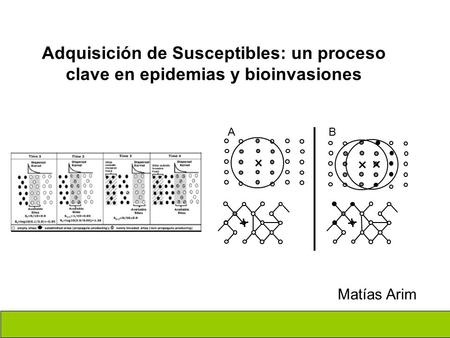 Adquisición de Susceptibles: un proceso clave en epidemias y bioinvasiones Matías Arim.