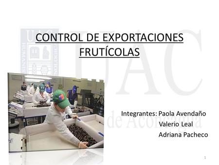 CONTROL DE EXPORTACIONES FRUTÍCOLAS Integrantes: Paola Avendaño Valerio Leal Adriana Pacheco 1.
