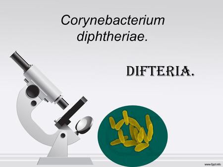 Corynebacterium diphtheriae. Difteria.. gg Difteria. Características. Vía de entrada. Patogenia. Diagnostico de laboratorio. Tratamiento. Prevención.