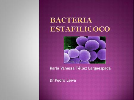 Karla Vanessa Téllez Largaespada Dr.Pedro Leiva.  Staphylococcuses un género de bacterias estafilococáceas de la clase Cocci. Comprende microorganismos.