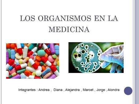 LOS ORGANISMOS EN LA MEDICINA Integrantes : Andrea, Diana, Alejandra, Marcet, Jorge, Alondra.