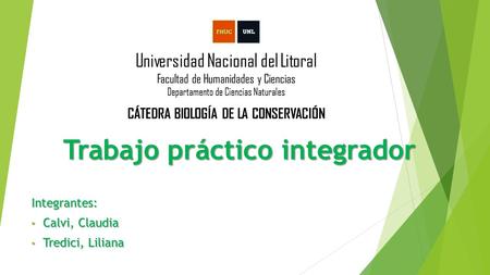 Trabajo práctico integrador Integrantes: Calvi, Claudia Calvi, Claudia Tredici, Liliana Tredici, Liliana Universidad Nacional del Litoral Facultad de Humanidades.